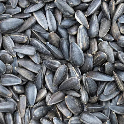 Sunflower Seeds